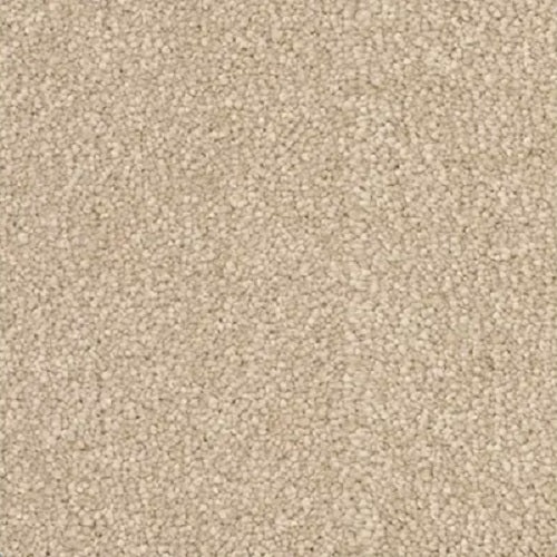 Magic Moment Ii Westwood Polyester Carpet - Textured