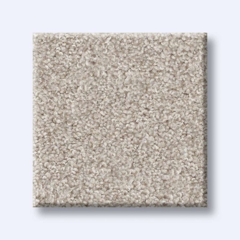 Foundations Harmonious Iii Split Sediment Nylon Carpet - Textured