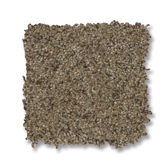 Reawaken Topanga Canyon Morning Blend Nylon Carpet - Textured