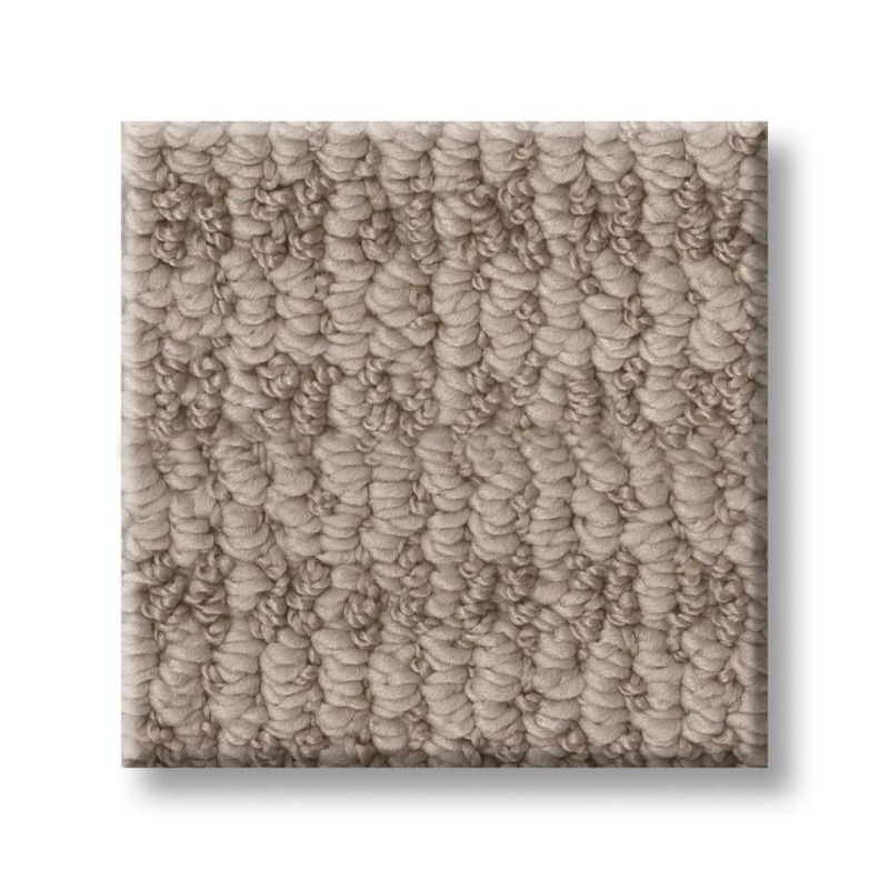 Pet Perfect Plus Chic Elevation Dark Maple Polyester Carpet - Loop