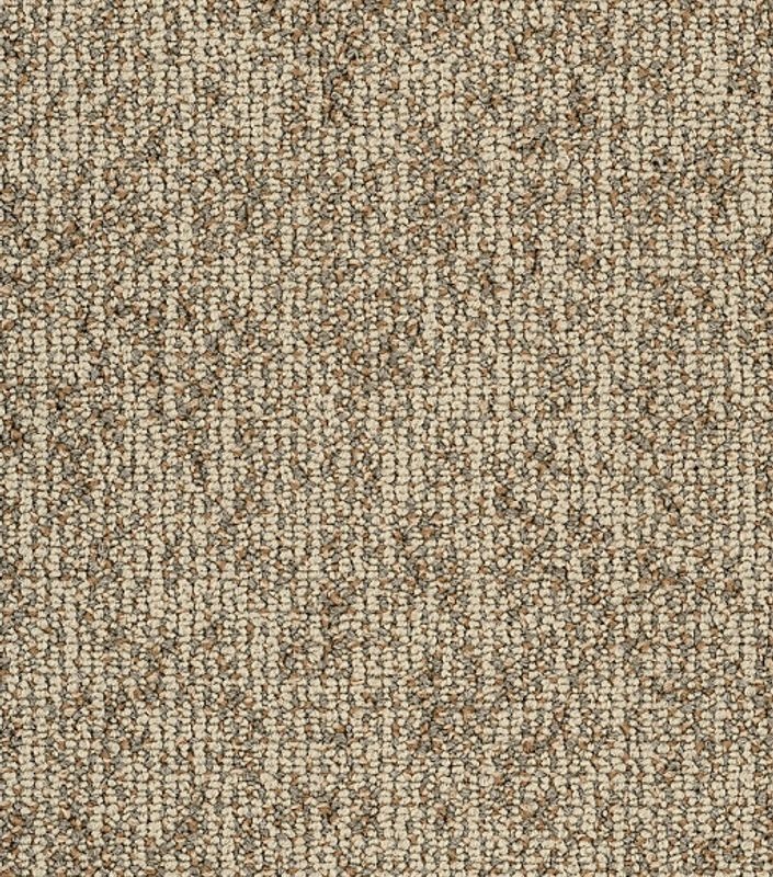 Modern Terrain Basin Dunes Nylon Carpet Tile - Loop - 9" X 36"