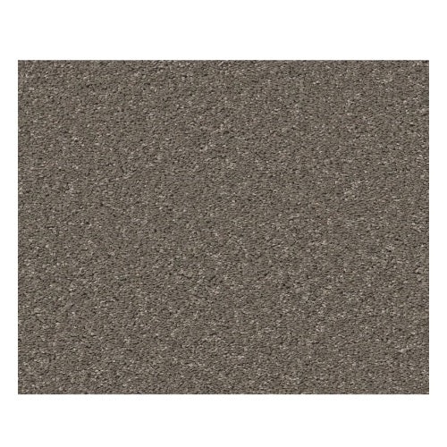 Smooth Talk Ii Urban Taupe Polyester Carpet - Textured