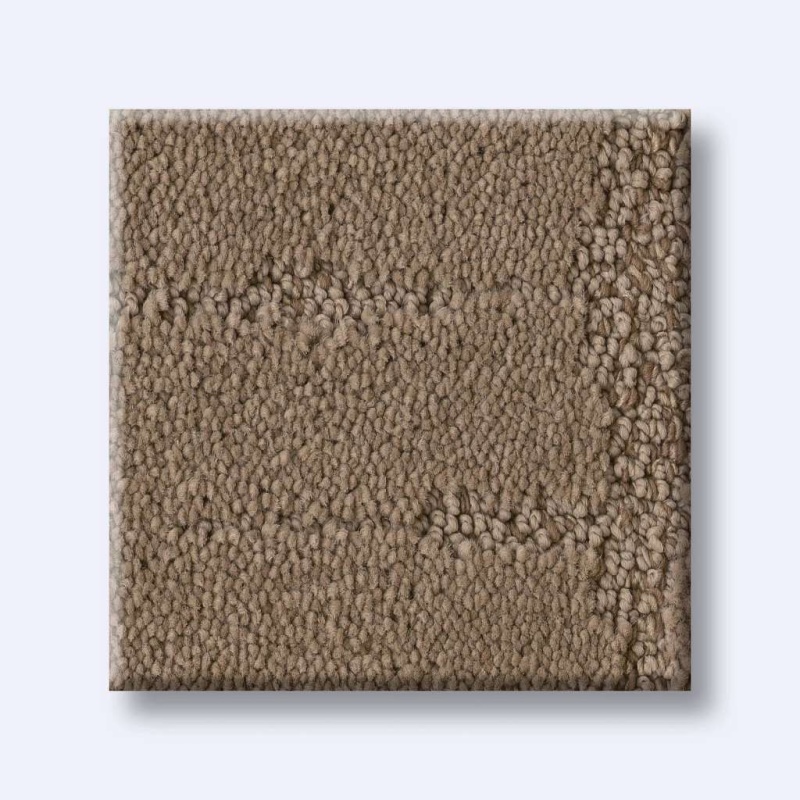 Caress By Shaw Rustique Vibe Raw Wood Nylon Carpet