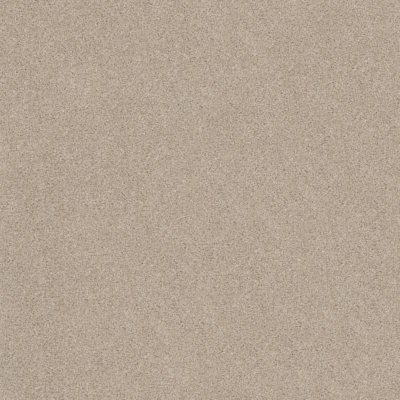 Anso Open I (S) Scone Nylon Carpet - Textured