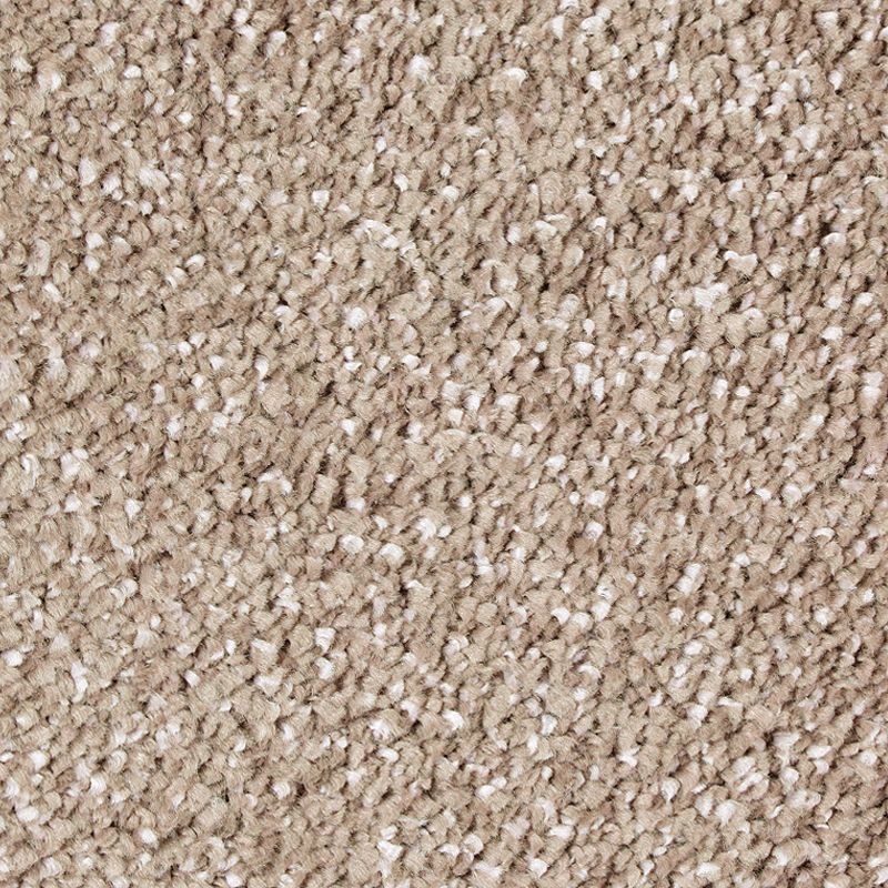Exquisite Shades Plantation Triexta Carpet - Textured