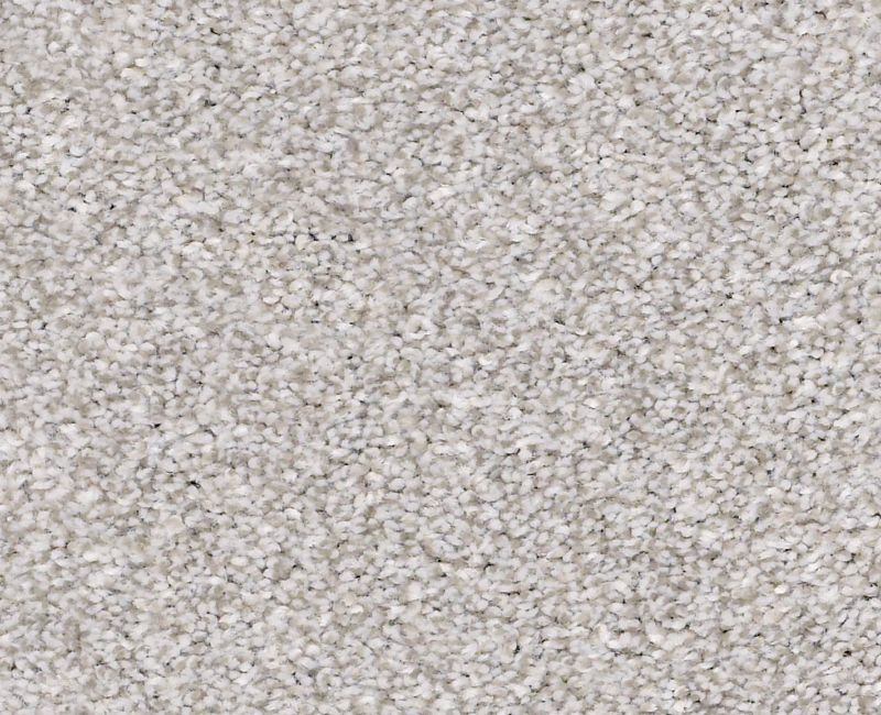 Just Right II Soft Fleece Polyester Carpet - Textured