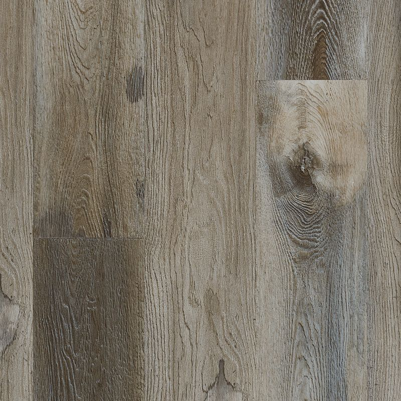 Explorer's Cove Raccoon Rigid Luxury Vinyl Plank Flooring - Embossed - 7" X 48"