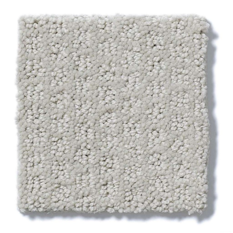 Simply The Best Pacific Trails Sea Salt Nylon Carpet - Pattern