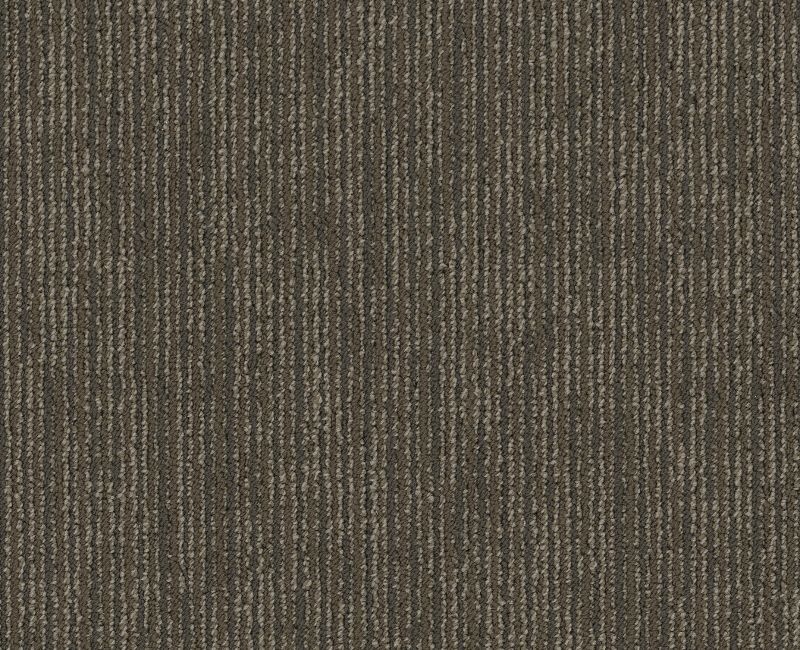 Clearance Sale! All Business Function Med Brown Polyester Carpet - Pattern