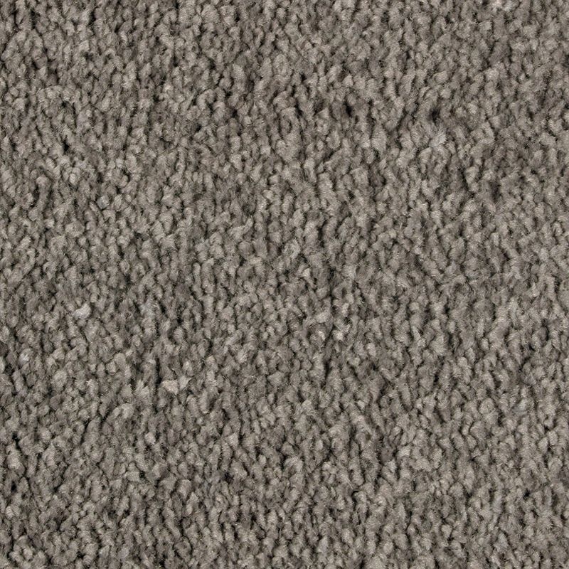 Exquisite Attraction Opulent Grey Triexta Carpet - Textured