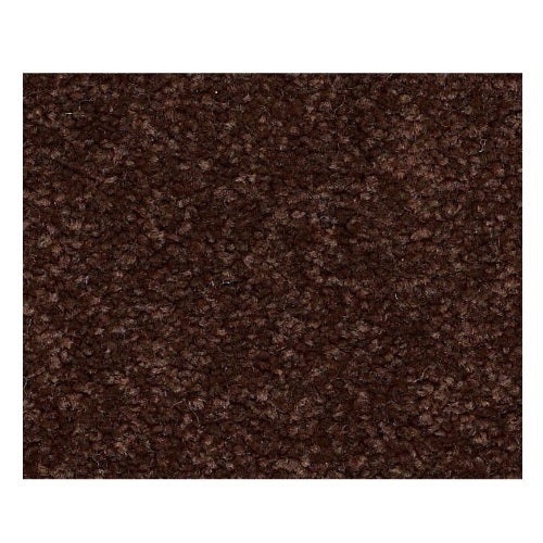 Qs162 15' Coffee Bean Nylon Carpet - Textured