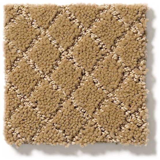 Pet Perfect Pawnache Golden Straw Nylon Carpet - Pattern