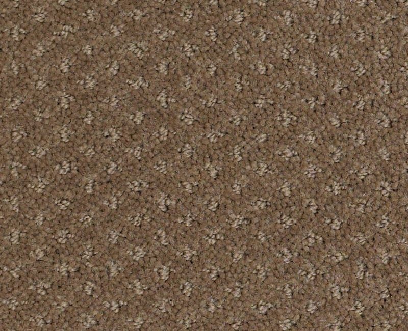 Gentle PV Townhouse Nylon Carpet - Pattern