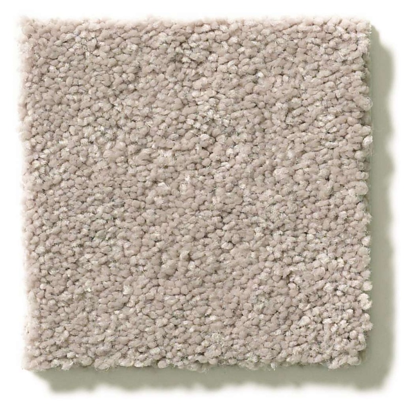 Simply The Best Momentum I Boutique Polyester Carpet - Textured