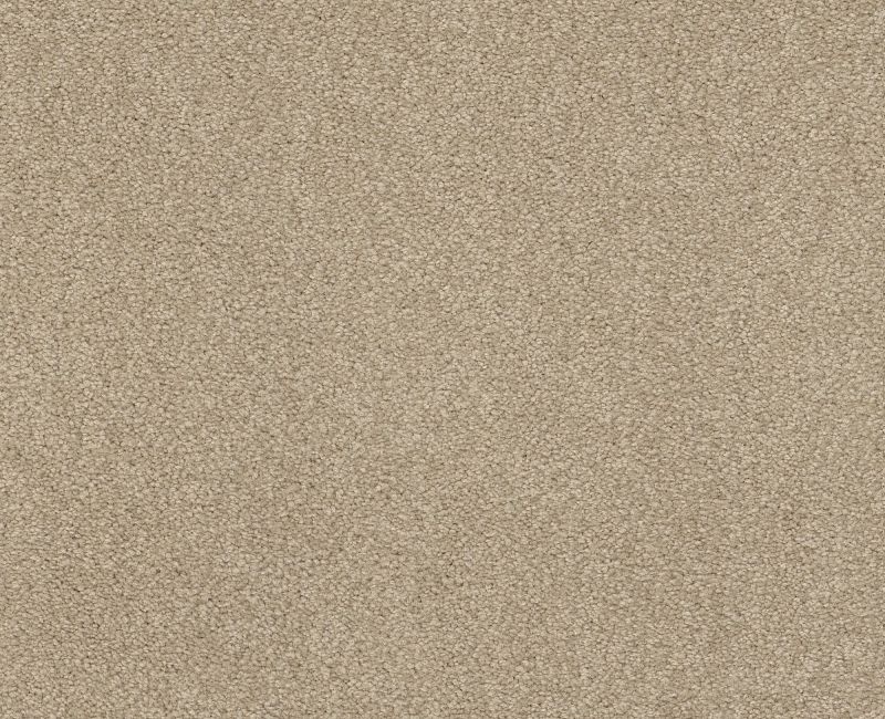 Bright Spirit Iii 12' Oatmeal Nylon Carpet - Textured