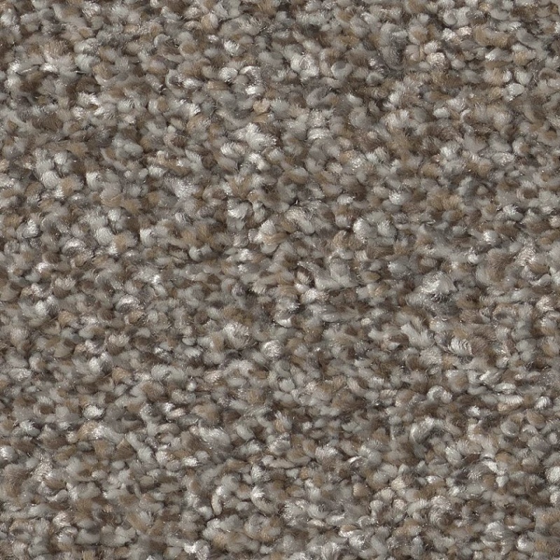 Pet Perfect Plus Refined Beauty Coffee Polyester Carpet