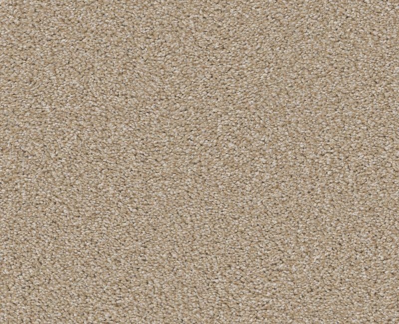 Trusolutions Iii Sheer Natural Polyester Carpet - Textured
