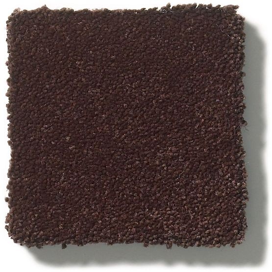 Perfect Choice Root Beer Nylon Carpet - Textured