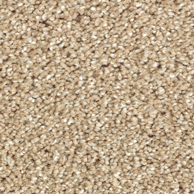 Natural Refinement Ii Raffia Basket Triexta Carpet - Textured