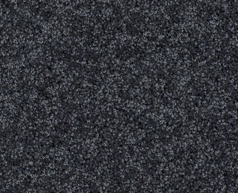 Detailed Elegance III Indigo Nylon Carpet - Loop