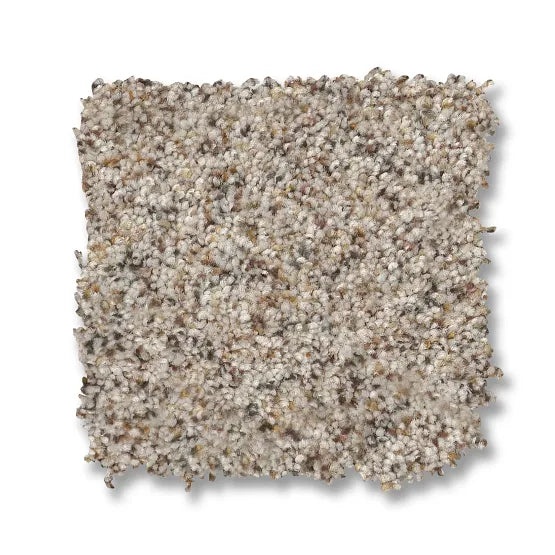 Reawaken Topanga Canyon Eclipse Nylon Carpet - Textured