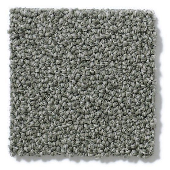 Pet Perfect On Point Hidden Cove Nylon Carpet - Loop