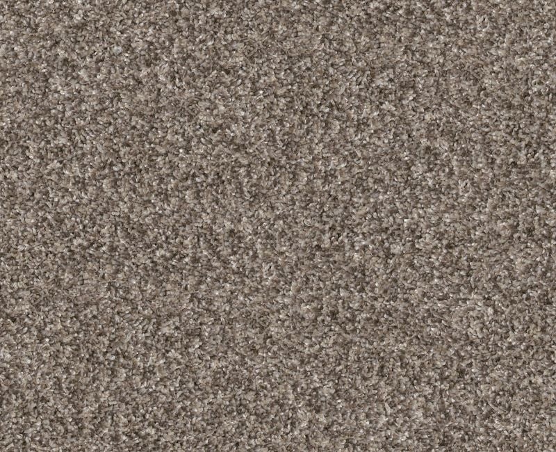 Yes You Can Ada II 15' Soft Sense Polyester Carpet - Textured