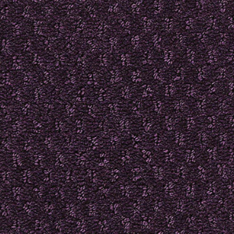 Influencer Classic Update Vintage Velvet Nylon Carpet - Loop
