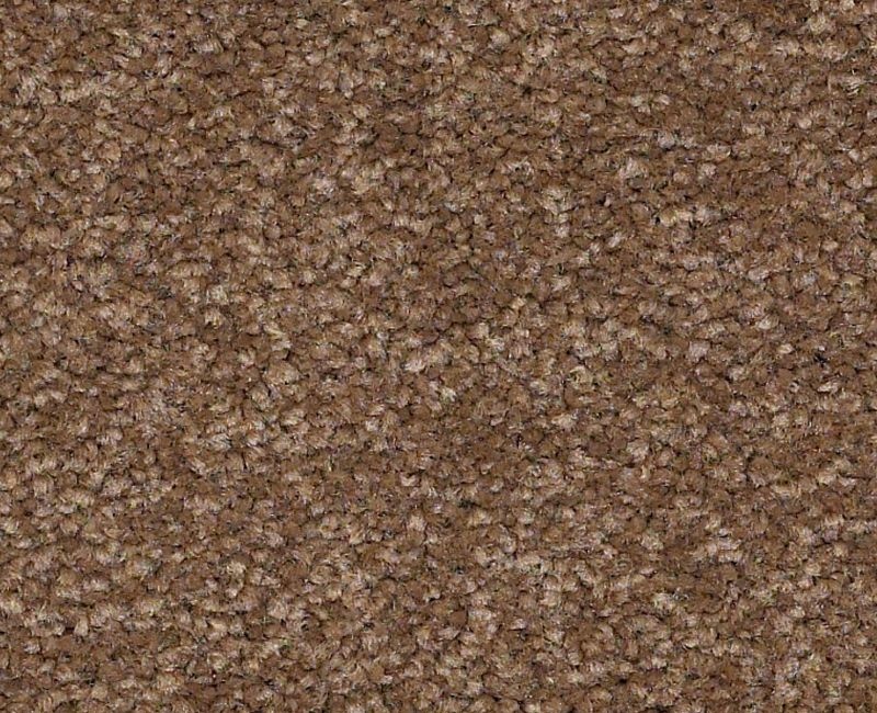 Magic Happens Pv Iv Tree Moss Nylon Carpet - Textured