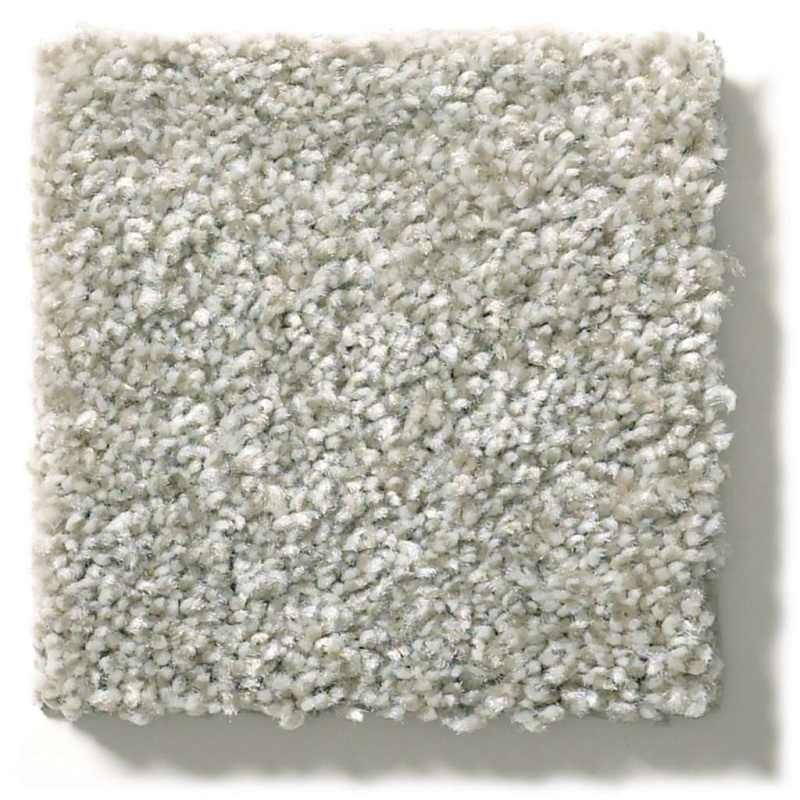 Attainable Soft Fleece Polyester Carpet - Textured