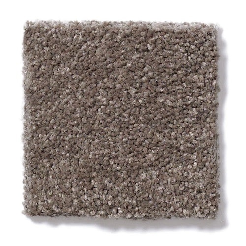 Real Life Ii Koala Nylon Carpet - Textured