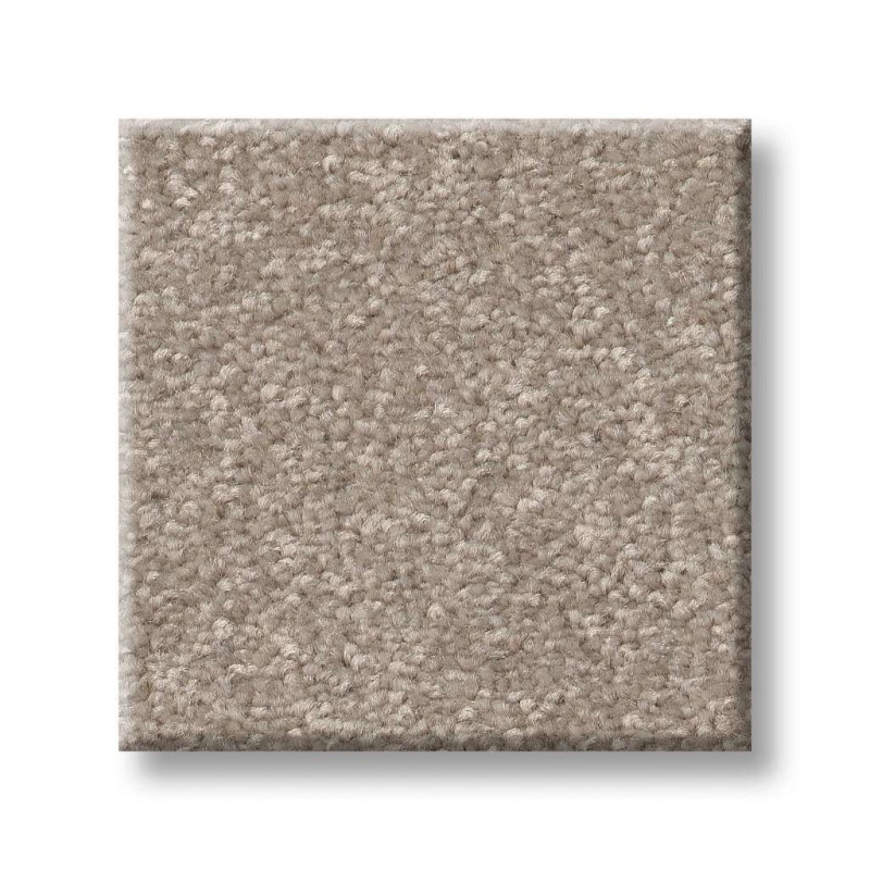 Pet Perfect Hard At Play Iii 15' Glacier Polyester Carpet - Textured
