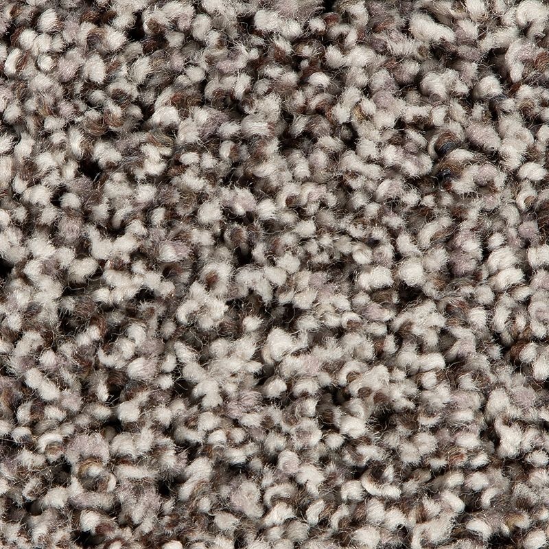 Soft Accolade Ii Slate Polyester Carpet - Textured