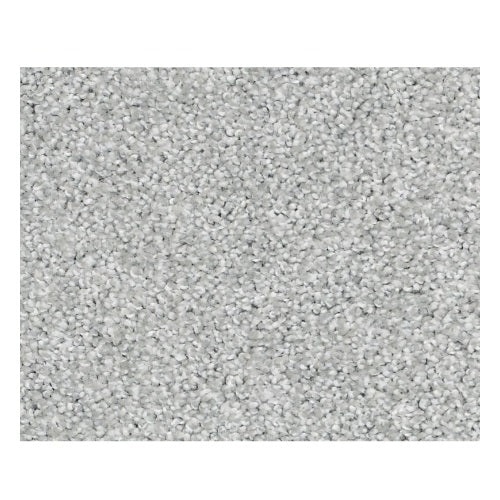 Striking Drizzle Nylon Carpet - Textured