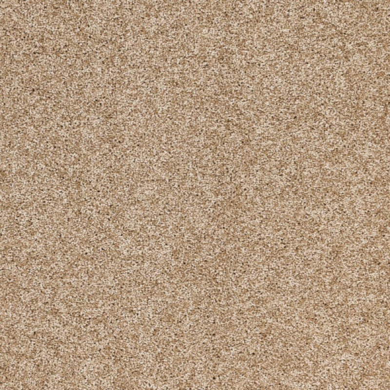 Radiant Beauty Ambience Polypropylene Carpet - Textured