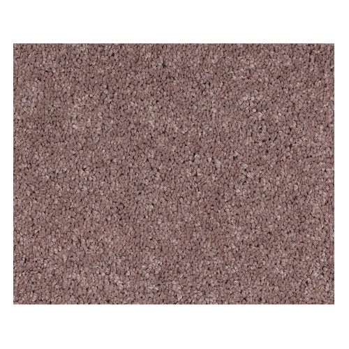 Simply Soft I Portland Nylon Carpet - Textured
