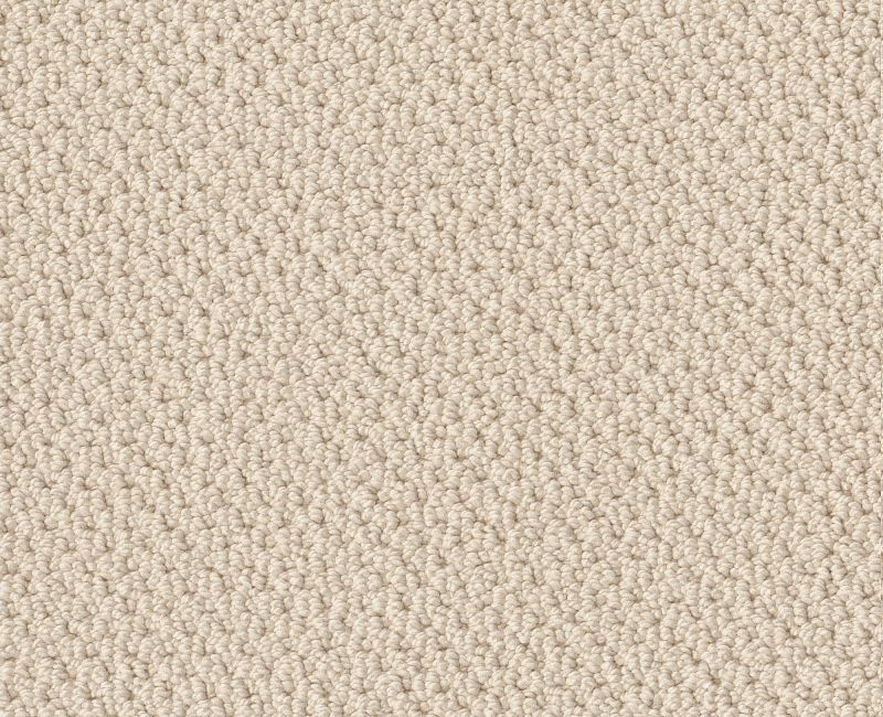 Gearhart Beach Ivory Paper Nylon Carpet - Loop