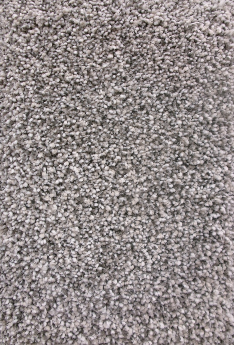 Everest Gravity Polyester Carpet - Textured