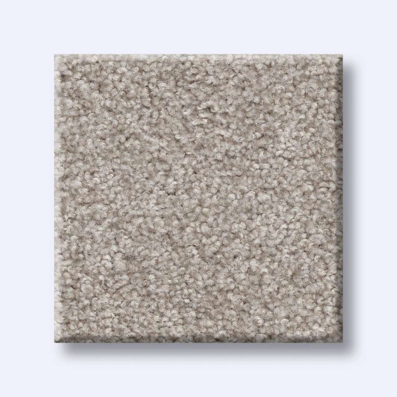 Foundations Harmonious Iii Baltic Stone Nylon Carpet - Textured