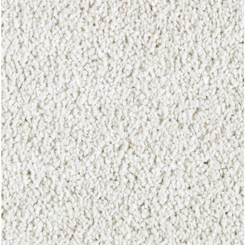 Exquisite Attraction Artisan Hue Triexta Carpet - Textured