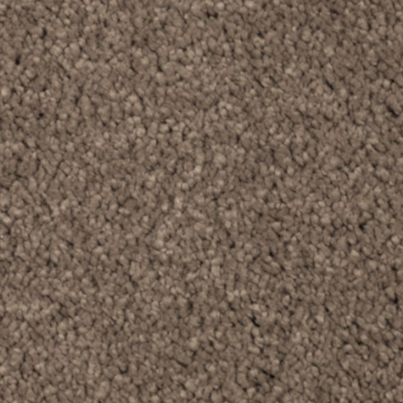 Natural Splendor I Pine Cone Triexta Carpet