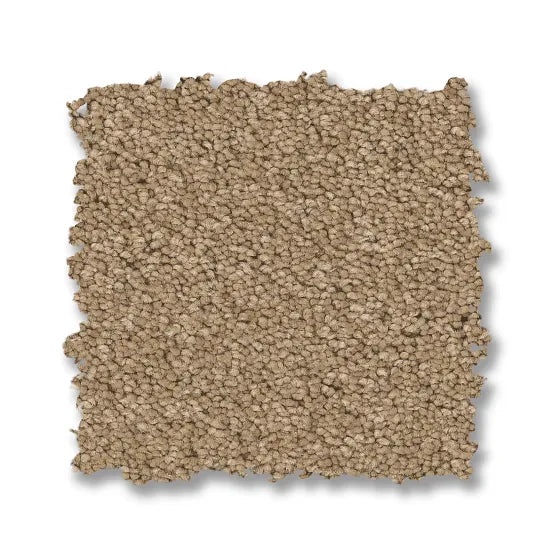 Enduring Charm Natural Nylon Carpet - Textured