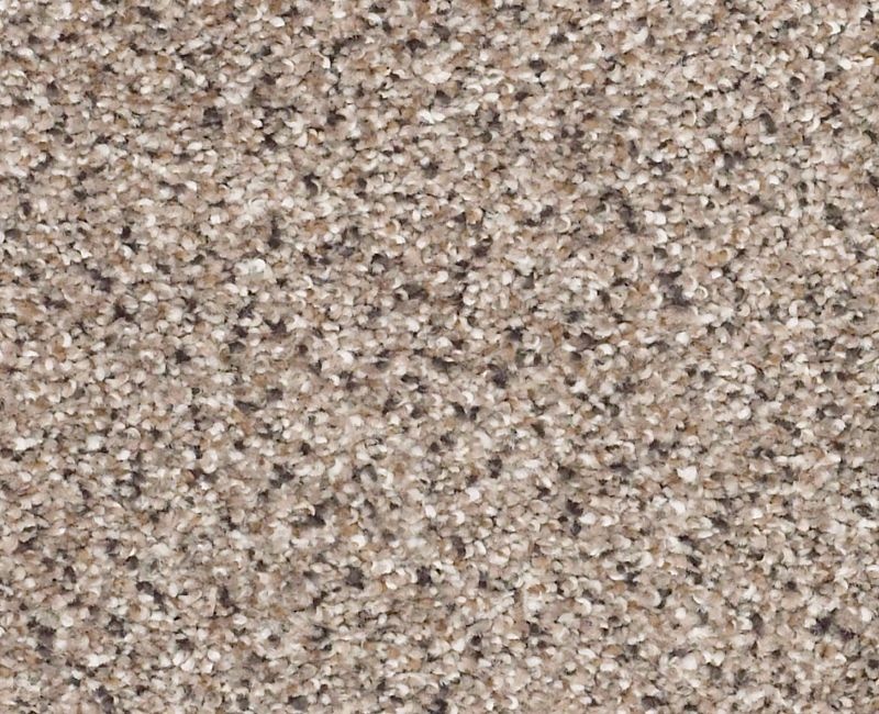 Color Express Accent Ii Everest Nylon Carpet - Loop