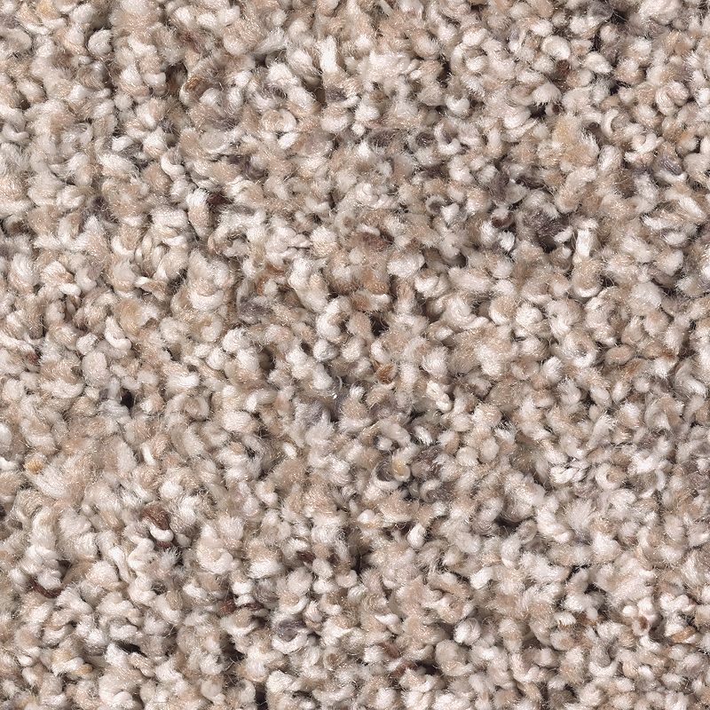 Soft Sensations I Turkish Delight Polyester Carpet - Textured