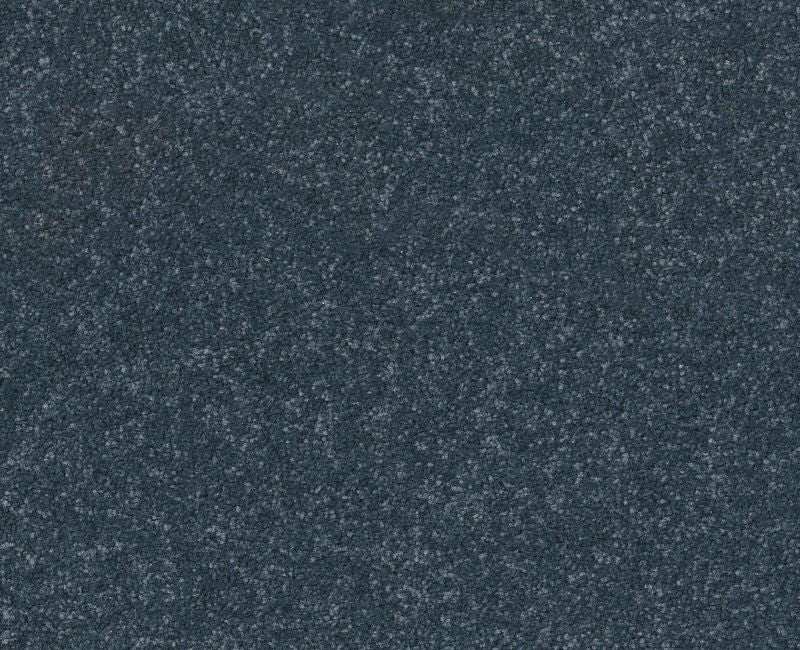 Off The Leash III 12 Refined Polyester Carpet - Loop