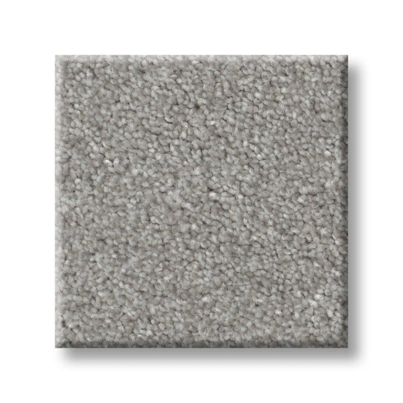 Simply The Best Values Good Move III Fog Polyester Carpet - Textured