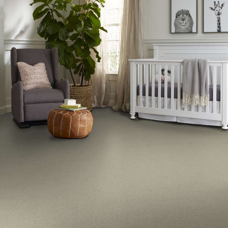 Caress By Shaw Quiet Comfort Classic I Spruce Nylon Carpet - Textured