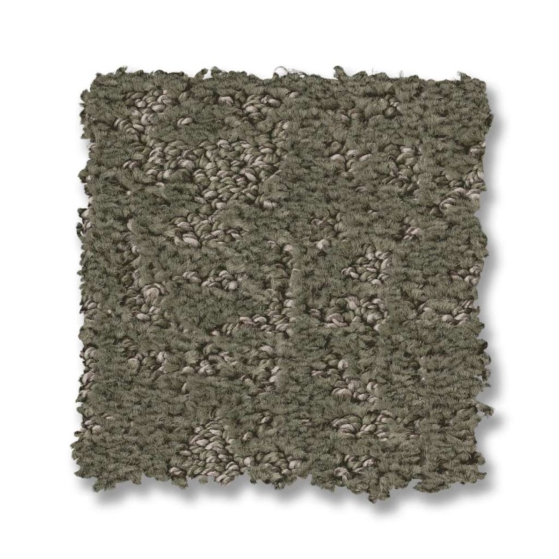 Pet Perfect Plus Home Within Rerooted Nature Polyester Carpet - Pattern