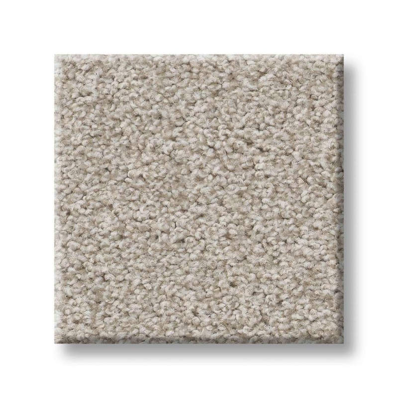 Foundations Harmonious I Split Sediment Nylon Carpet - Textured