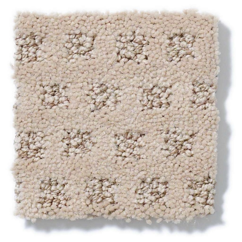 Caress By Shaw My Expression Fawn Nylon Carpet - Pattern